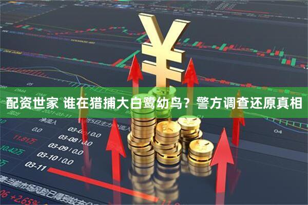 配资世家 谁在猎捕大白鹭幼鸟？警方调查还原真相