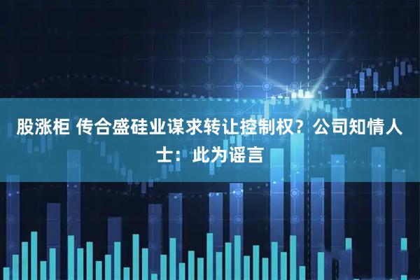 股涨柜 传合盛硅业谋求转让控制权？公司知情人士：此为谣言
