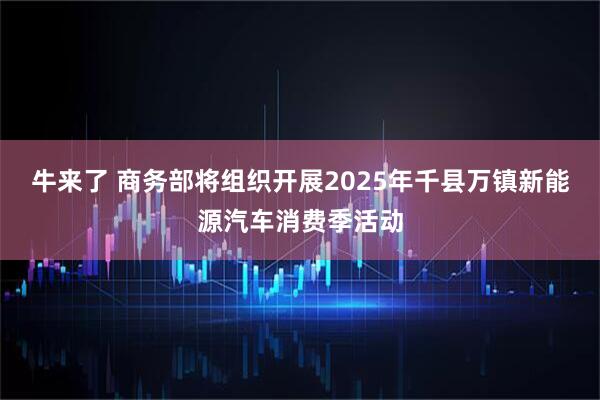 牛来了 商务部将组织开展2025年千县万镇新能源汽车消费季活动