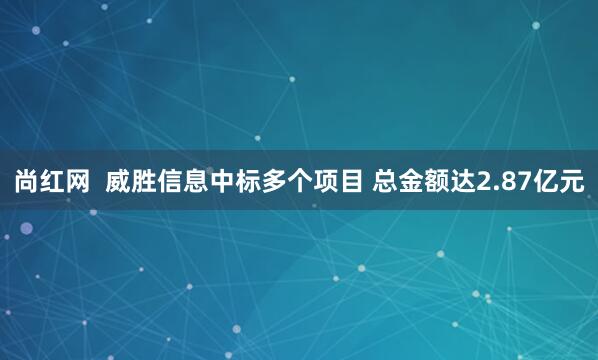 尚红网  威胜信息中标多个项目 总金额达2.87亿元