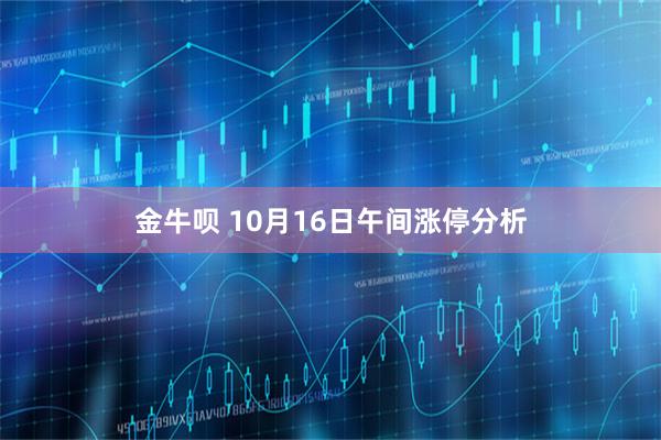 金牛呗 10月16日午间涨停分析