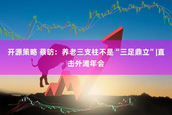 开源策略 蔡昉:养老三支柱不是“三足鼎立”|直击外滩年会